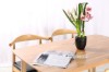 Picture of [FLOOR MODEL CLEARANCE] WINDSOR Solid Wood Dining Chair (Natural Colour)