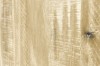 Picture of [FLOOR MODEL CLEARANCE] AKAROA 4-Drawer Solid Acacia Wood Tallboy