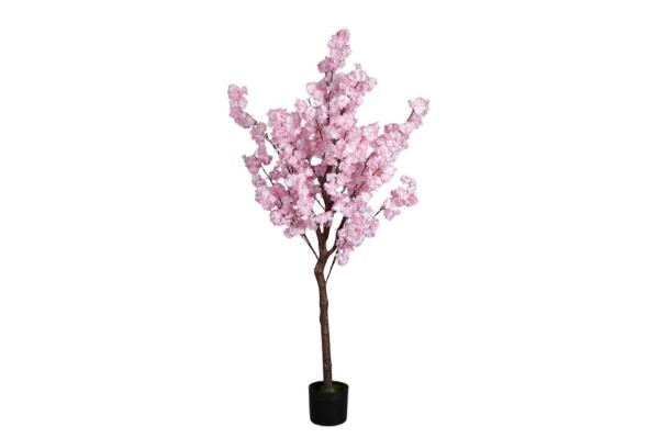 Picture of 394-002 Artificial Cherry Blossom Plant - H160cm