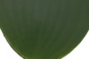 Picture of 394-004 Artificial Pink Orchid Plant - H50cm