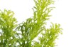Picture of 394-004 Artificial Pink Orchid Plant - H50cm
