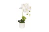 Picture of 394-006 Artificial White Orchid Plant - H50cm