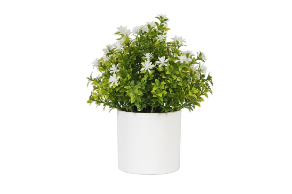 Picture of 394-009 Artificial Green Plant - H20cm