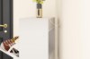 Picture of VANTRA 2 Flip Drawers Shoe Cabinet (White)